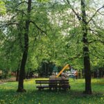 Banco De Madeira Marrom Sob Arvores Verdes Durante O Dia GjpnWUNFWGg